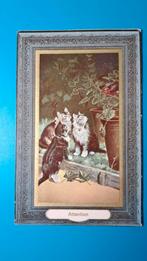 3 poesen kijken naar een vogel. Attention, Ophalen of Verzenden, Voor 1920, Ongelopen, Hond of Kat