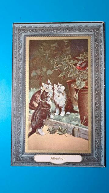 3 poesen kijken naar een vogel. Attention  beschikbaar voor biedingen