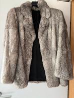 Bontjas Duits, Kaninpelz origineel grijs maat 44, Kleding | Dames, Ophalen, Kaninpelz, Maat 42/44 (L), Zo goed als nieuw