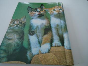 fotoalbum 28 x 22  beschikbaar voor biedingen