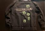 Minecraft Trui Maat 134/140, Trui of Vest, Minecraft, Ophalen of Verzenden, Zo goed als nieuw