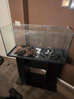 Aqualantis 80 met meubel, Dieren en Toebehoren, Vissen | Aquaria en Toebehoren, Ophalen, Gebruikt, Leeg aquarium