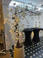 Bloesemboom zijde, 2.10 m hoog. Met echte stam., Ophalen, Zo goed als nieuw, Binnen