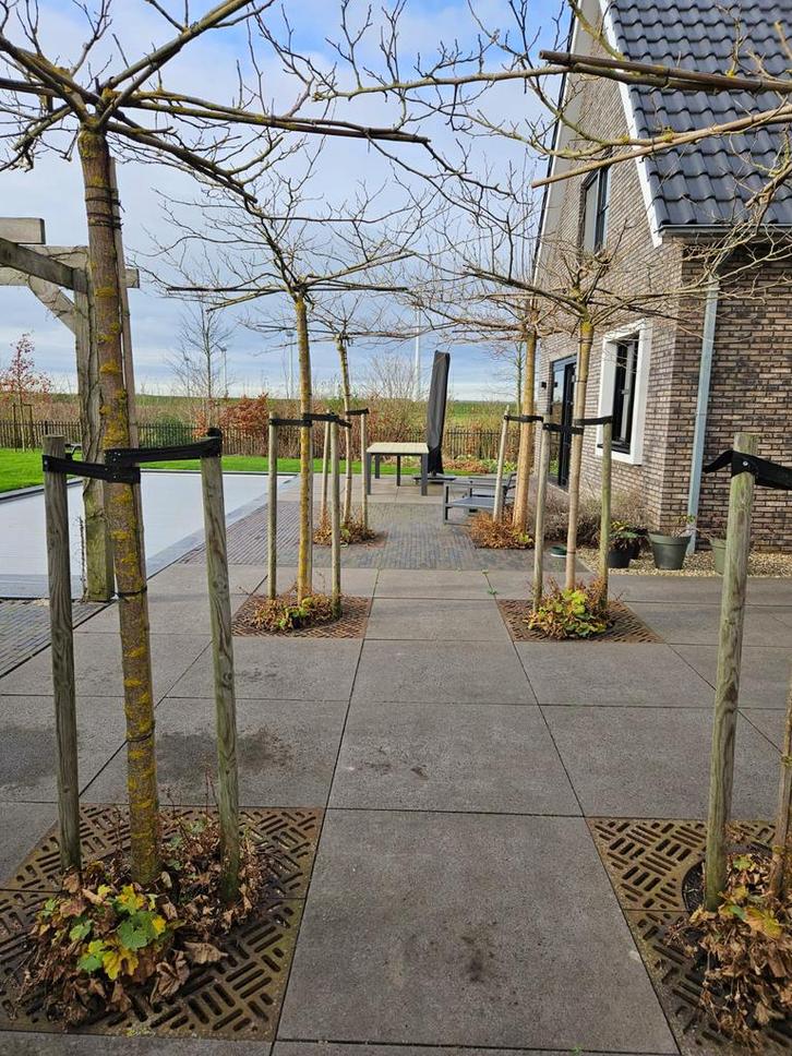 Schellevis 100x100 en waalklinkertjes, Tuin en Terras, Tegels en Klinkers, Terrastegels, Beton, Ophalen