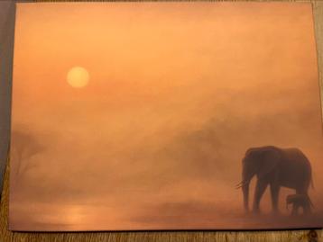 Prachtige dieren schilderijtjes op canvas beschikbaar voor biedingen