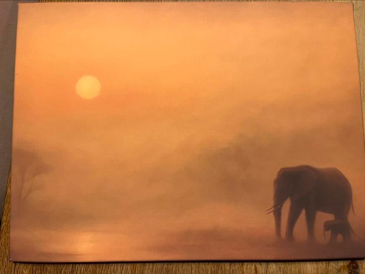 Prachtige dieren schilderijtjes op canvas, Antiek en Kunst, Kunst | Schilderijen | Klassiek, Verzenden