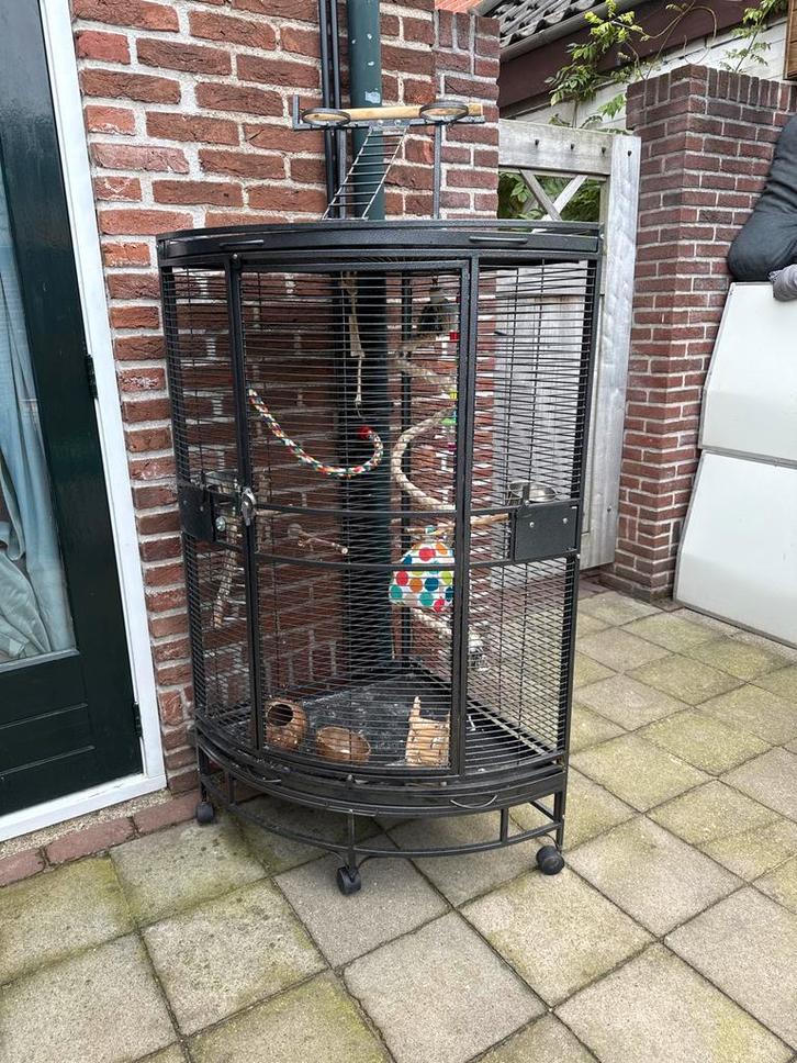 Vogelkooi merk Keddoc, Dieren en Toebehoren, Vogels | Hokken en Kooien, Vogelkooi, Metaal, Ophalen