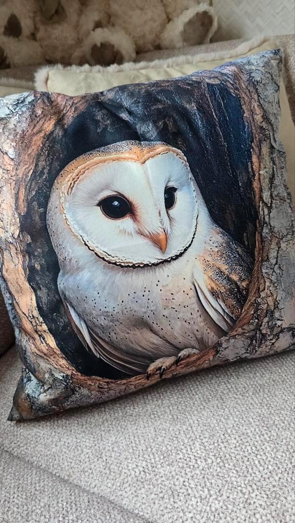 Prachtig kussen met uil., Huis en Inrichting, Woonaccessoires | Kussens, Zo goed als nieuw, Wit, Vierkant, Ophalen of Verzenden