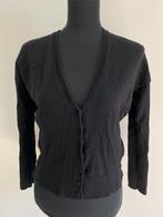 V46 - Zwart 100% merino wol Set vestje maat 38 (1), Kleding | Dames, Truien en Vesten, Ophalen of Verzenden, Zo goed als nieuw