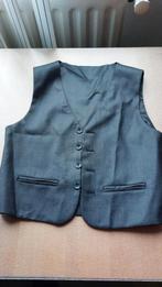 gilet grijs maat 152, Ophalen of Verzenden, Zo goed als nieuw, Jongen, Overige typen