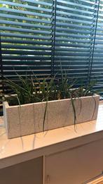 Grote plantenbak / bloembak terrazzo 80x27x23,5, Tuin en Terras, Bloembakken en Plantenbakken, Ophalen, Minder dan 30 cm, Zo goed als nieuw