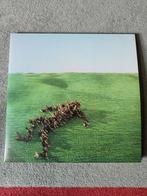 Bright Green Field lp Squid, Ophalen of Verzenden, Zo goed als nieuw, 12 inch, Alternative
