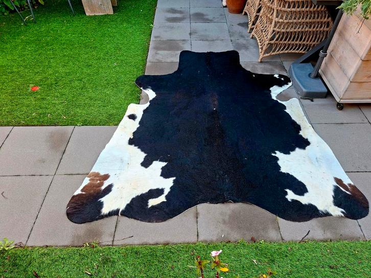 Mooie Koeienhuid Vloerkleed, Huis en Inrichting, Stoffering | Tapijten en Kleden, Gebruikt, 200 cm of meer, 200 cm of meer, Overige vormen