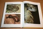 Slangen. Soorten, herkomst, voeding en verzorging., Ophalen of Verzenden, Zo goed als nieuw, Vogels