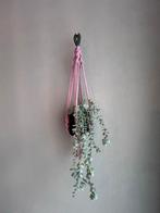 Handgemaakte Macrame Plantenhanger - Roze - boho stijl, Ophalen of Verzenden, Nieuw