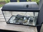 Aquarium, Dieren en Toebehoren, Vissen | Aquaria en Toebehoren, Ophalen, Gebruikt, Leeg aquarium