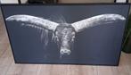 Ingelijste afbeelding Ox ( Ossenkop ), Antiek en Kunst, Ophalen