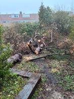 Grote boom - gratis ophalen, Tuin en Terras, Ophalen of Verzenden, Gebruikt