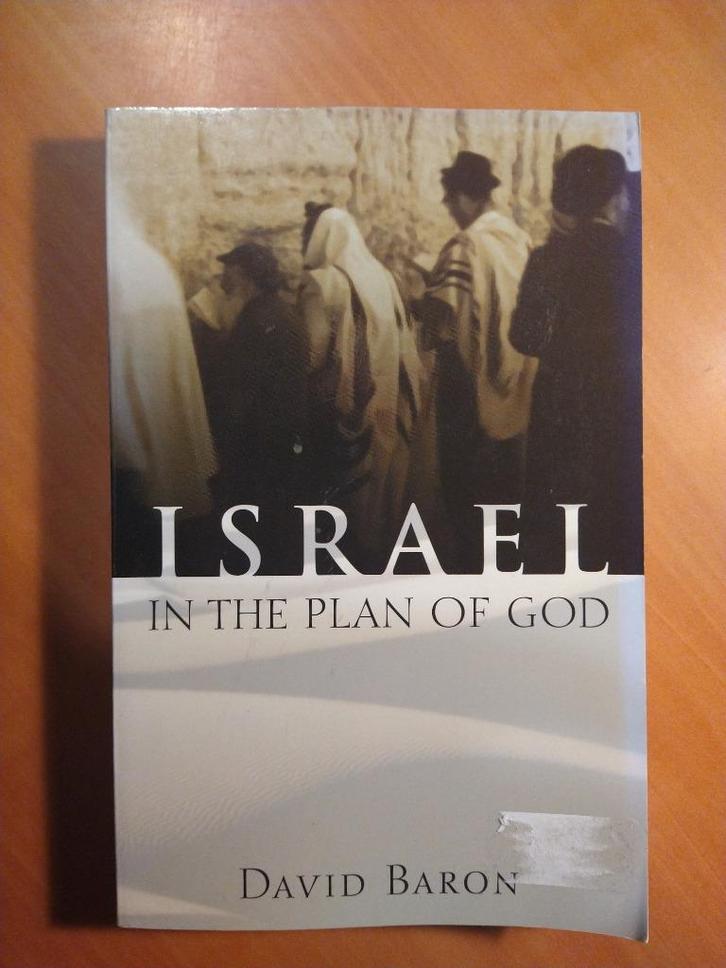 Baron, David Israel in the Plan of God, Boeken, Godsdienst en Theologie, Gelezen, Ophalen of Verzenden