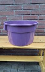 💐VINTAGE PAARSE TEIL SUNLIGHT, Ophalen of Verzenden, Zo goed als nieuw, Overige typen