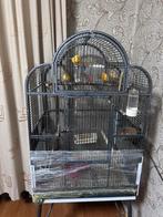 Vogels en kooi, Dieren en Toebehoren, Vogels | Hokken en Kooien, Ophalen of Verzenden, Zo goed als nieuw, Metaal, Vogelkooi