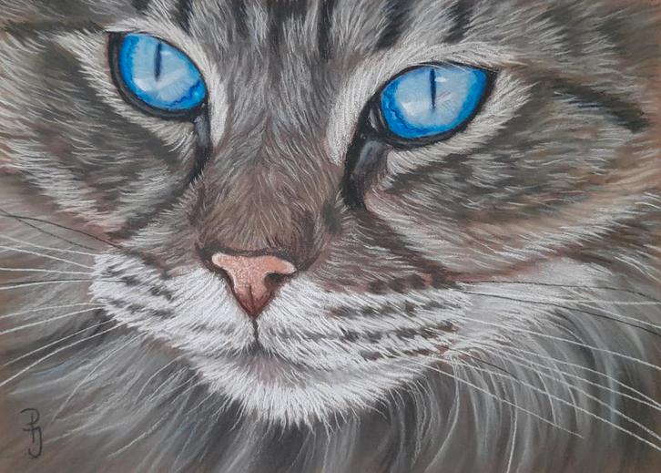 OPRUIMING Schilderij noorse boskat - eigen werk - katten, Huis en Inrichting, Woonaccessoires | Schilderijen, Tekeningen en Foto's