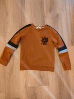 H&M Trui met tijgerprint - Maat 134/140, Ophalen of Verzenden, H&M, Jongen of Meisje