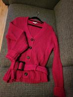 Fabienne Chapot trui, maat S | NIEUW, Kleding | Dames, Truien en Vesten, Nieuw, Ophalen of Verzenden, Fabienne Chapot, Roze