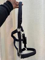 Blauw halster, Ophalen of Verzenden, Nieuw, Overige soorten