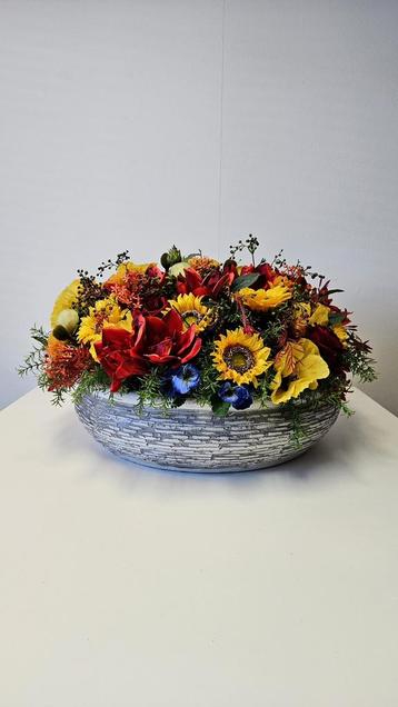 Groot en zwaar zomerstuk in stenen pot doorsnede 70 !! cm beschikbaar voor biedingen