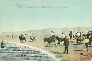 (701-391-045) Scheveningen Ezelrijden beschikbaar voor biedingen