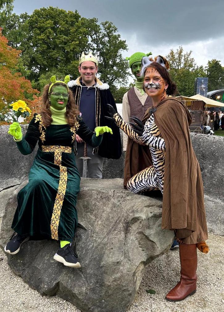 Kostuums , fiona Clown, puss  & Koning, Kleding | Dames, Carnavalskleding en Feestkleding, Gedragen, Kleding, Carnaval, Ophalen of Verzenden