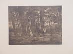 Willem van der Vliet (1856-1924) ets bosgezicht, Ophalen of Verzenden