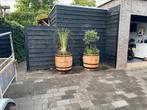 Eiken plantenbakken wijnvaten van 57 ltr tot 500 ltr., Tuin en Terras, Bloembakken en Plantenbakken, Ophalen, Rond, Nieuw, 60 tot 100 cm