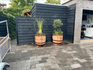 Eiken plantenbakken wijnvaten van 57 ltr tot 500 ltr. beschikbaar voor biedingen