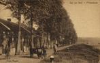 SAS VAN GENT, Prinsenkade, Hondenkar (1910s) Ansichtkaart, Verzamelen, Ansichtkaarten | Nederland, Ophalen of Verzenden, Voor 1920