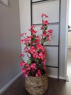 Prachtige Bloesemboom - Sfeervol voor Binnen & Buiten, Ophalen of Verzenden, Nieuw, Binnen
