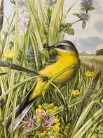 Marjolein Bastin Ronde Puzzel 520 stukjes, Hobby en Vrije tijd, Denksport en Puzzels, Ophalen of Verzenden, 500 t/m 1500 stukjes