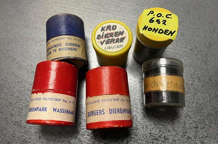 HONDEN Dierentuin Diergaarde ARTIS - WASSENAAR - RHENEN Zoo, Verzamelen, Dierenverzamelingen, Gebruikt, Overige typen, Wild dier