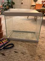 Superfish aquarium 27L compleet, Dieren en Toebehoren, Ophalen, Zo goed als nieuw, Leeg aquarium