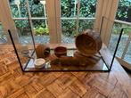 Terrarium, Overige typen, Zo goed als nieuw, Ophalen, Minder dan 60 cm