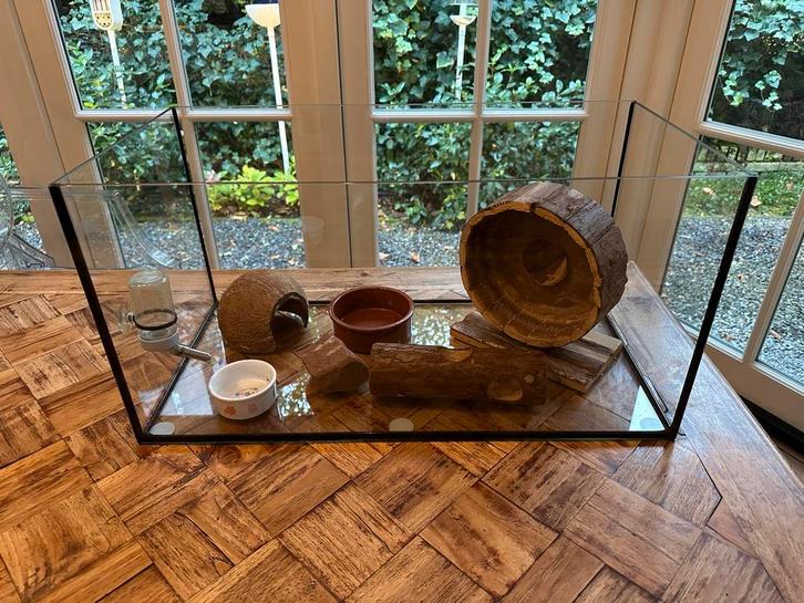 Terrarium, Dieren en Toebehoren, Knaagdieren en Konijnen | Hokken en Kooien, Zo goed als nieuw, Overige typen, Minder dan 60 cm