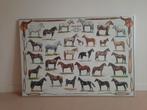 Vintage paarden poster in aluminium lijst, Ophalen of Verzenden, Gebruikt, Wanddecoratie