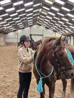 Verzorgster/bijrijder aangeboden verzorgpony gezocht, Dieren en Toebehoren, Ophalen of Verzenden, Zo goed als nieuw