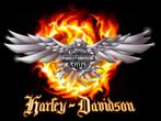 Te koop Werkplaatshandboeken voor bijna elke Harley-Davidson, Ophalen of Verzenden, Harley-Davidson of Buell