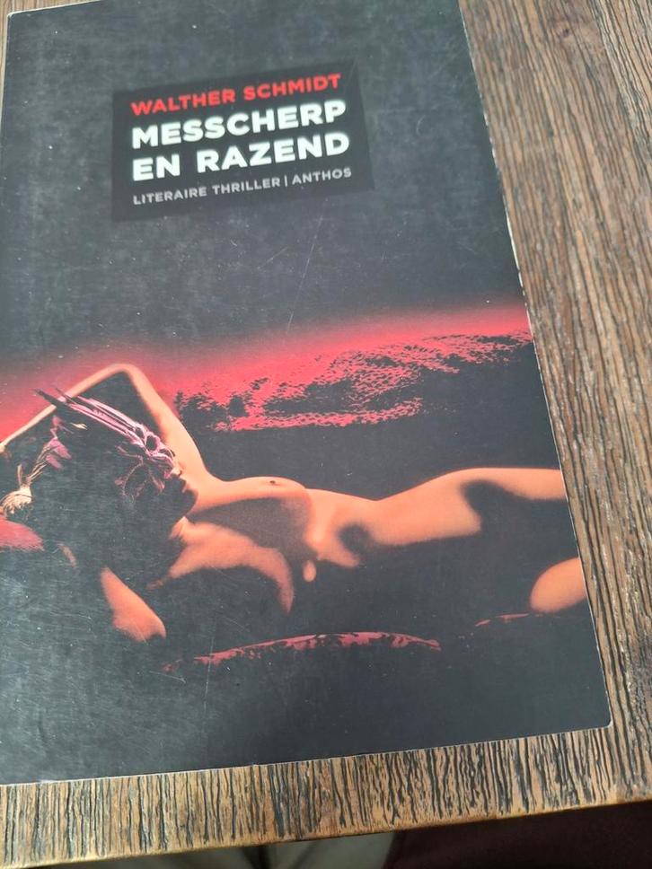 Messcherp en Razend - Walther Schmidt, Boeken, Thrillers, Zo goed als nieuw, Nederland, Ophalen of Verzenden
