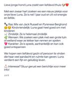 Teefje luna, Dieren en Toebehoren, Honden | Poolhonden, Keeshonden en Oertypen, Rabiës (hondsdolheid), 15 weken tot 1 jaar, Overige rassen