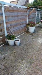 Buiten bloem potten, Tuin en Terras, Ophalen, Kunststof, Rond, Minder dan 40 cm