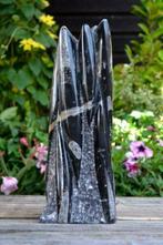 Orthoceras sculptuur uit Marokko (nr. 19), Verzamelen, Ophalen of Verzenden, Fossiel