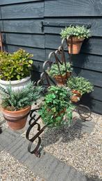 Brocante plantenstandaard van ijzer, Ophalen of Verzenden